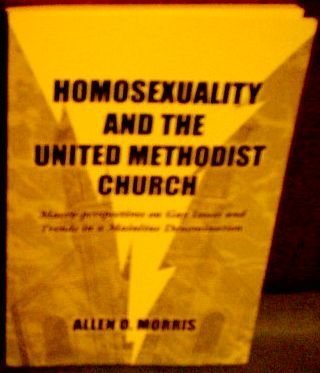 Stock image for Homosexuality and the United Methodist Church: Macro-perspectives on gay issues and trends in a mainline denomination for sale by GoldBooks