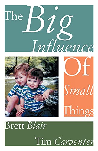 Stock image for The Big Influence Of Small Things for sale by Lucky's Textbooks