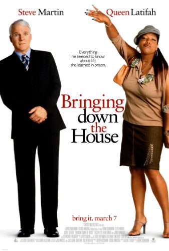 Bringing Down the House - Martin,Steve, Latifah Ddwd 291