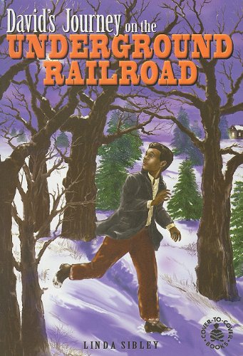 Stock image for David's Journey on the Underground Railroad for sale by ThriftBooks-Dallas