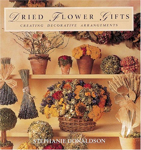 9780789200051: Dried Flower Gifts: Creating Decorative Arrangements