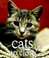 Beispielbild fr Cats Up Close (Tiny Folio) zum Verkauf von Wonder Book