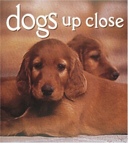 Beispielbild fr Dogs Up Close (Tiny Folio) zum Verkauf von Wonder Book