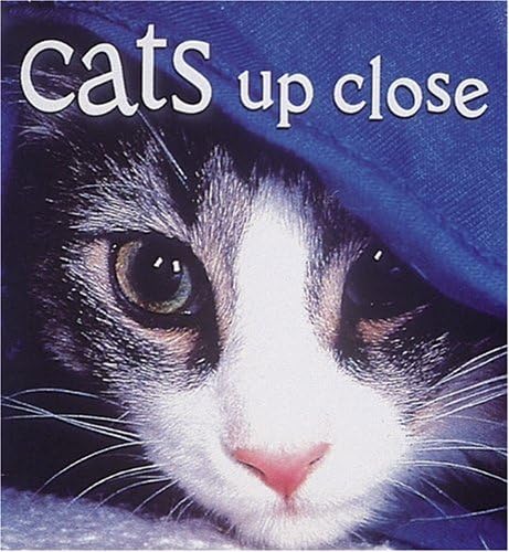Stock image for Cats Up Close (Tiny Folios) for sale by HPB Inc.