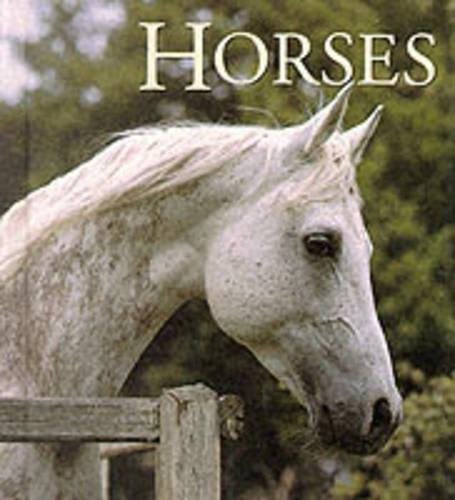 Imagen de archivo de Horses (Tiny Folio) a la venta por Wonder Book