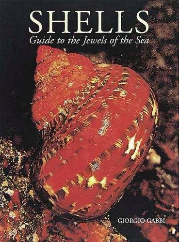 Beispielbild fr Shells : Guide to the Jewels of the Sea zum Verkauf von Better World Books