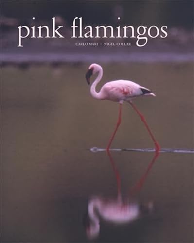 Stock image for Pink Flamingos for sale by Chequamegon Books