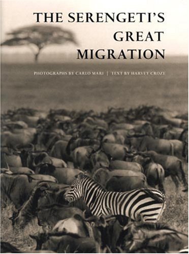 Beispielbild fr The Serengeti's Great Migration zum Verkauf von Better World Books