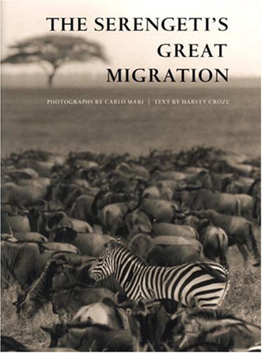 Imagen de archivo de The Serengeti's Great Migration a la venta por Better World Books