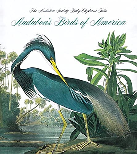 9780789208149: Audubon's birds of america
