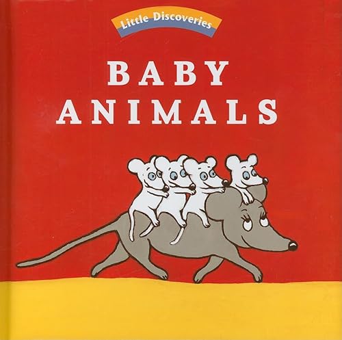 Beispielbild fr Baby Animals (Little Discoveries) zum Verkauf von Book Outpost