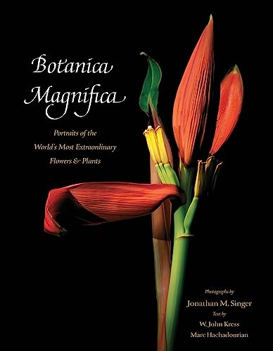 Imagen de archivo de Botanica Magnifica: Portraits of the World's Most Extraordinary Flowers & Plants (Natural History) a la venta por Books from the Past