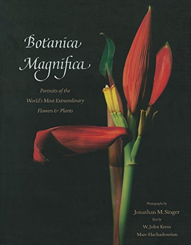 Botanica Magnifica: Portraits of the World's Most Extraordinary Flowers and Plants (Natural History)
