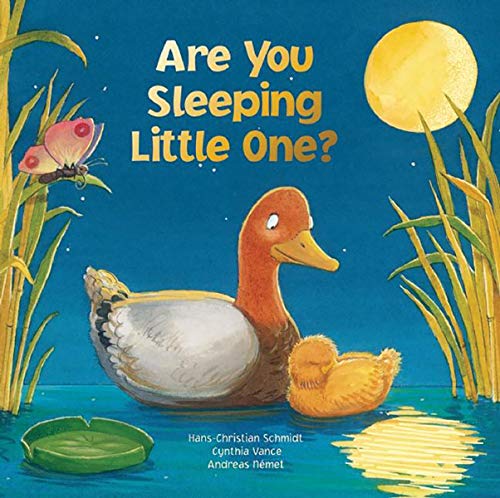 Imagen de archivo de Are You Sleeping Little One? (Hardcover) a la venta por Grand Eagle Retail