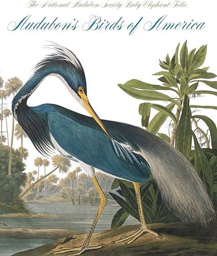 Stock image for Audubon's Birds of America: The Audubon Society Baby Elephant Folio for sale by BookScene