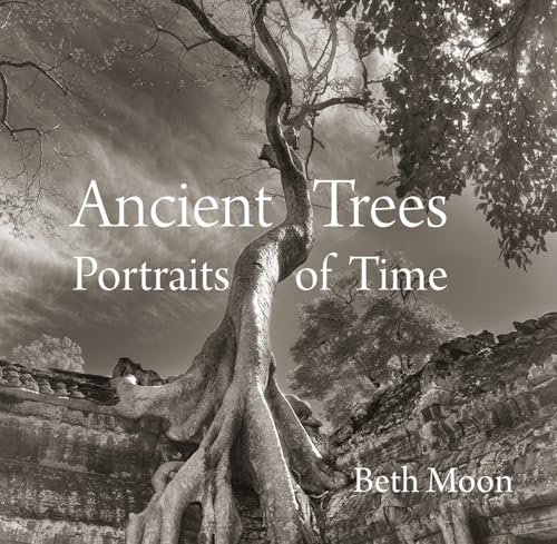 Beispielbild fr Ancient Trees: Portraits of Time zum Verkauf von WorldofBooks