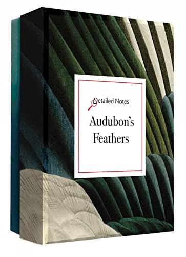 9780789254511: Audubon's Feathers: A Detailed Notes notecard box