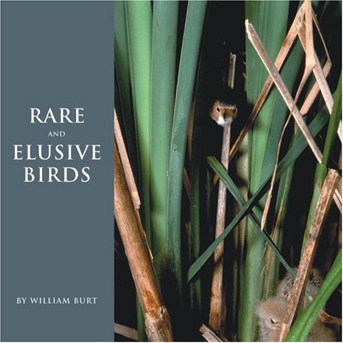 Stock image for Rare and Elusive Birds of North America for sale by Books of the Smoky Mountains