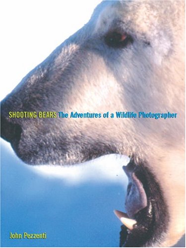 Beispielbild fr Shooting Bears: The Adventures of a Wildlife Photographer zum Verkauf von medimops