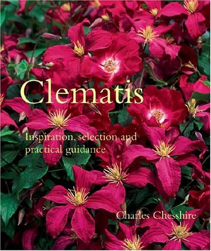 9780789315540: Clematis: Inspiration, Selection, And Practical Gudance