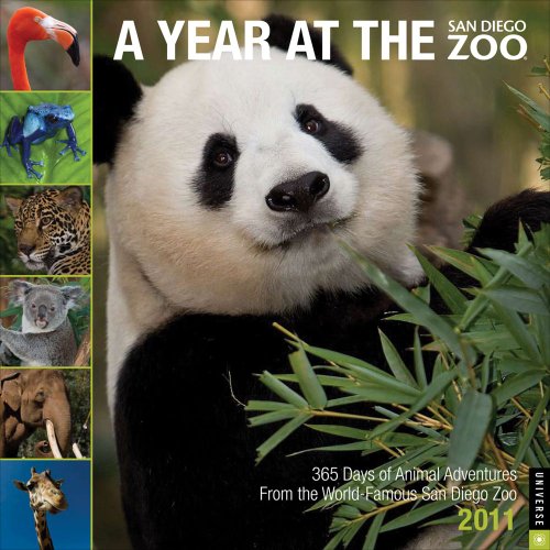 Year at the San Diego Zoo: 2011 Wall Calendar (9780789321879) by Universe Publishing