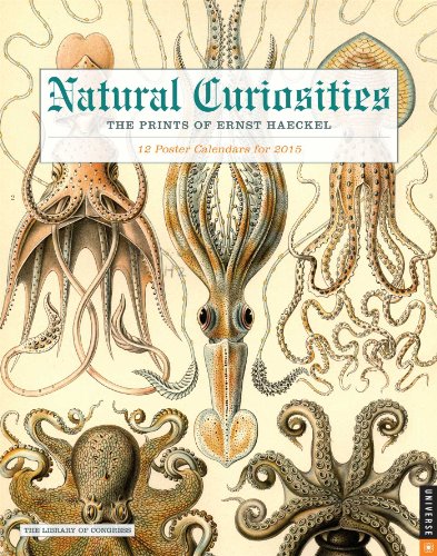 9780789328021: Natural Curiosities 2015 Poster Calendar: The Prints of Ernst Haeckel