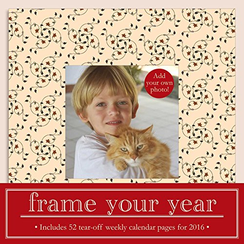 Beispielbild fr Frame Your Year 2016 Weekly Frame Calendar zum Verkauf von Ammareal