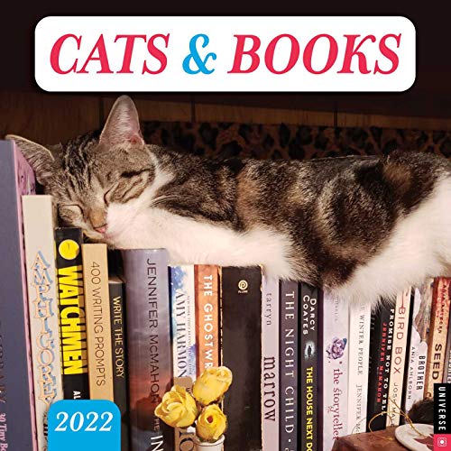 Stock image for Cats & Books 2022 Wall Calendar for sale by Ergodebooks