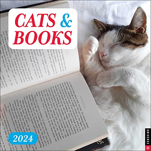 Stock image for Cats & Books 2024 Wall Calendar for sale by GF Books, Inc.