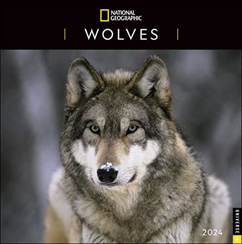National Geographic: Wolves 2024 Wall Calendar (Calendar)
