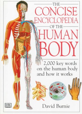 Beispielbild fr Concise Encyclopedia of the Human Body zum Verkauf von Wonder Book