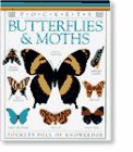 9780789406057: Butterflies and Moths (Dk Pockets)