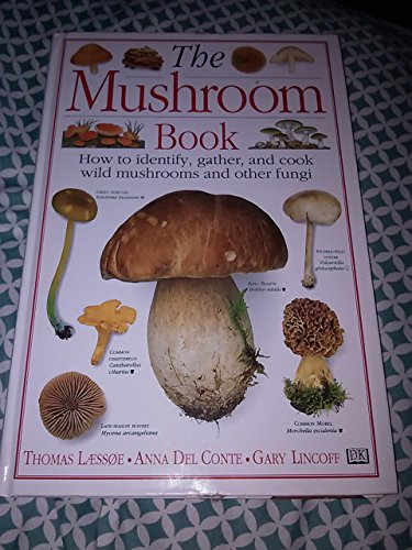 Imagen de archivo de The Mushroom Book How to Identify, Gather and Cook Wild Mushrooms and Other Fungi a la venta por BooksRun