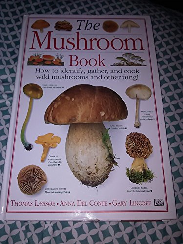 9780789410733: The Mushroom Book