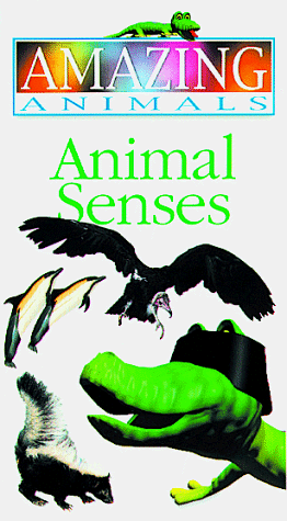 9780789419545: Animal Senses (Amazing Animals) VHS Video - DK Publishing: 0789419548 - AbeBooks 9780789419545: Animal Senses (Amazing Animals) VHS Video - DK Publishing: 0789419548 - AbeBooks