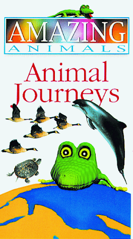 Animal Journeys (9780789419552) by DK Publishing