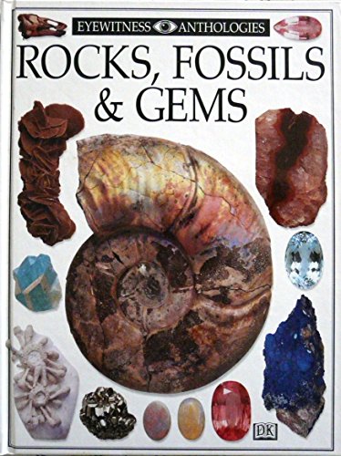 Imagen de archivo de Rocks, Fossils and Gems a la venta por Decluttr