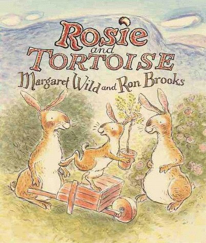 Imagen de archivo de Rosie and Tortoise a la venta por Better World Books