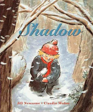 Imagen de archivo de Shadow a la venta por Irish Booksellers