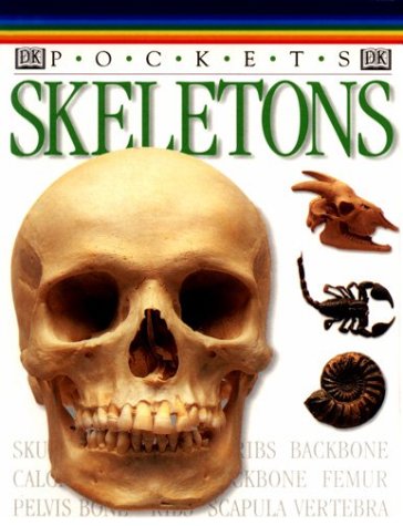 Stock image for Skeletons for sale by Alf Books