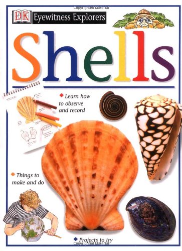 9780789429841: Shells (Eyewitness Explorers)