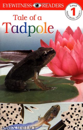 Beispielbild fr DK Readers: Tale of a Tadpole (Level 1: Beginning to Read) zum Verkauf von Wonder Book