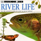 9780789434784: Look Closer: River Life