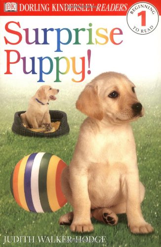 Imagen de archivo de DK Readers: Surprise Puppy (Level 1: Beginning to Read) a la venta por SecondSale