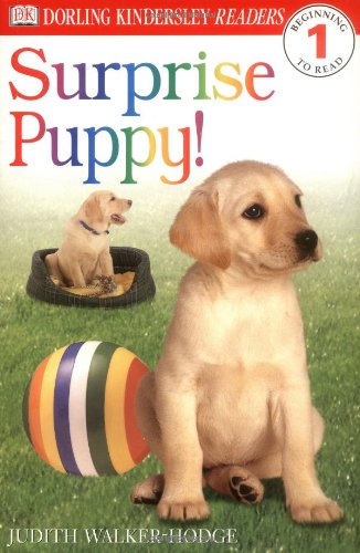 9780789436245: Surprise Puppy (DK READERS LEVEL 1)