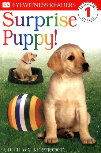 Beispielbild fr DK Readers L1: Surprise Puppy zum Verkauf von ThriftBooks-Dallas
