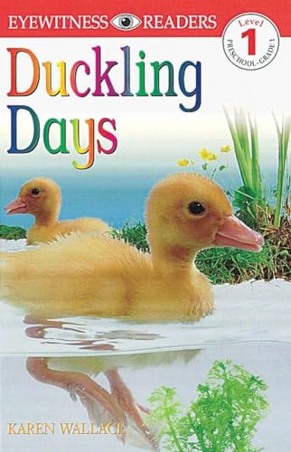 Beispielbild fr DK Readers: Duckling Days (Level 1: Beginning to Read) zum Verkauf von SecondSale