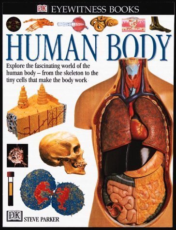 Stock image for Eyewitness: Human Body (Eyewitness Books) for sale by Once Upon A Time Books