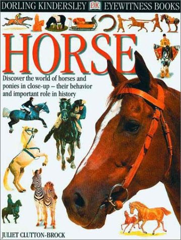 Beispielbild fr Horse (DK Eyewitness Books) zum Verkauf von Wonder Book