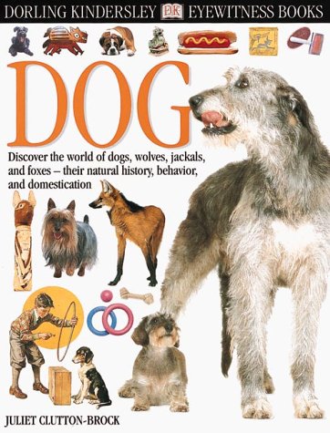 Imagen de archivo de Eyewitness: Dog (Eyewitness Books) a la venta por Wonder Book